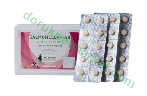Pantex Holland Salmonella Tab 10 Tabelet(100 Hap) BİLGİLENDİRME AMAÇLIDIR - Pantex Holland